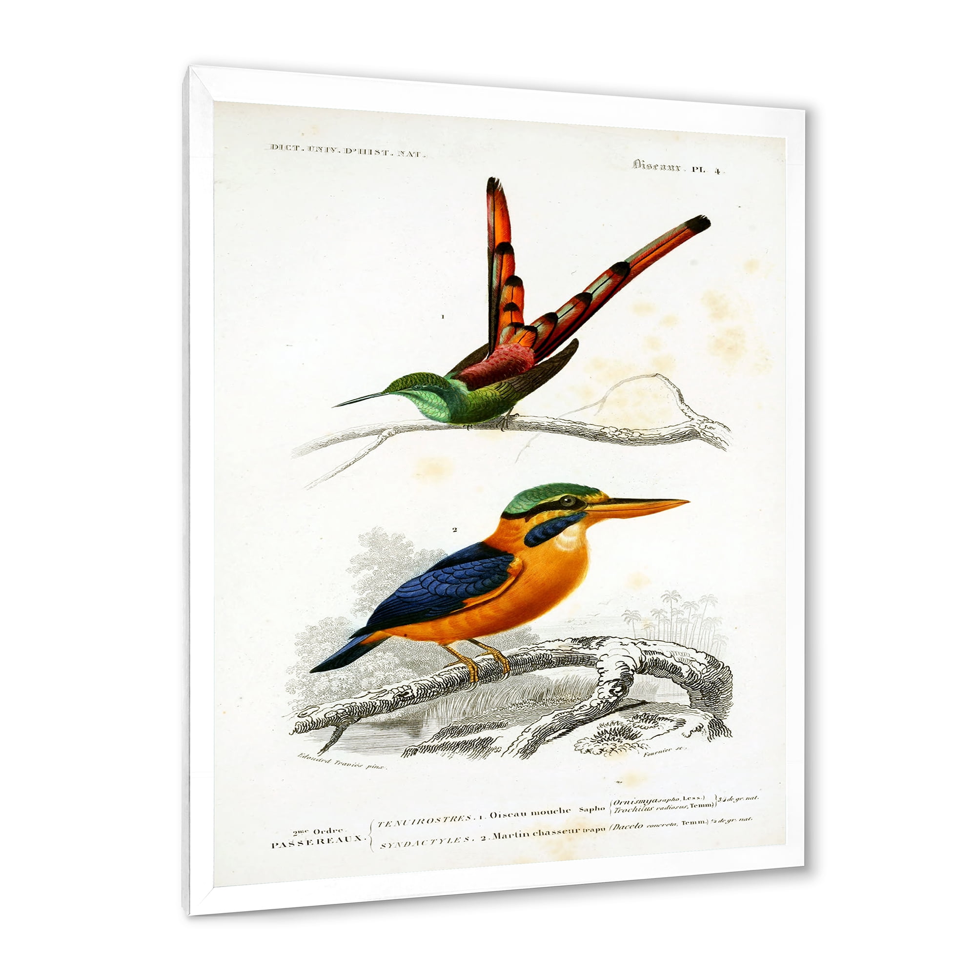 Designart 'Ancient Bird I' Traditional Framed Art Print