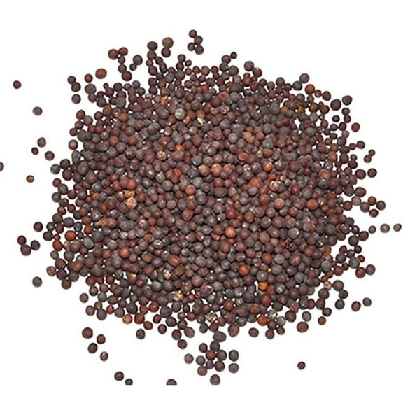 AzureGreen HMUSBSB 1 lbs Brown Mustard Seed