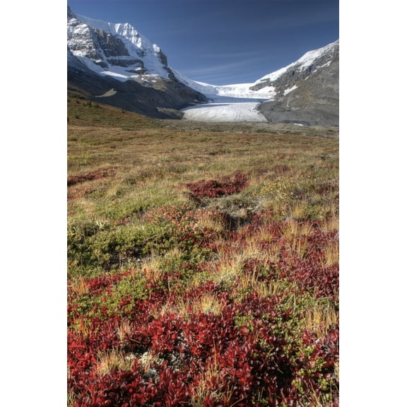 Posterazzi DPI1837160LARGE Columbia Icefield Jasper National Park Alberta Canada Poster Print, Large - 22 x 34