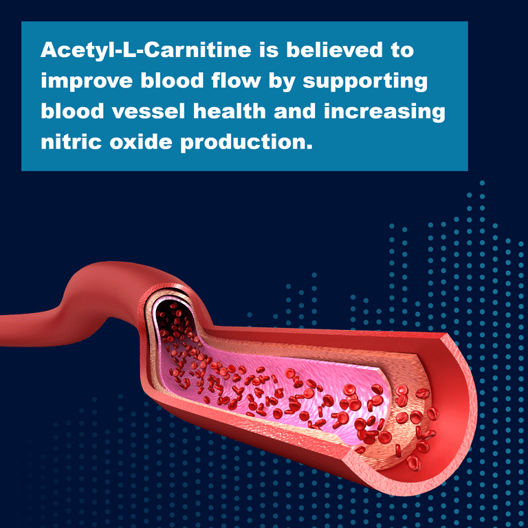 buy l carnitine liquid Understanding the Benefits and Uses of Carnitine in Health and Fitness   Fitness Health