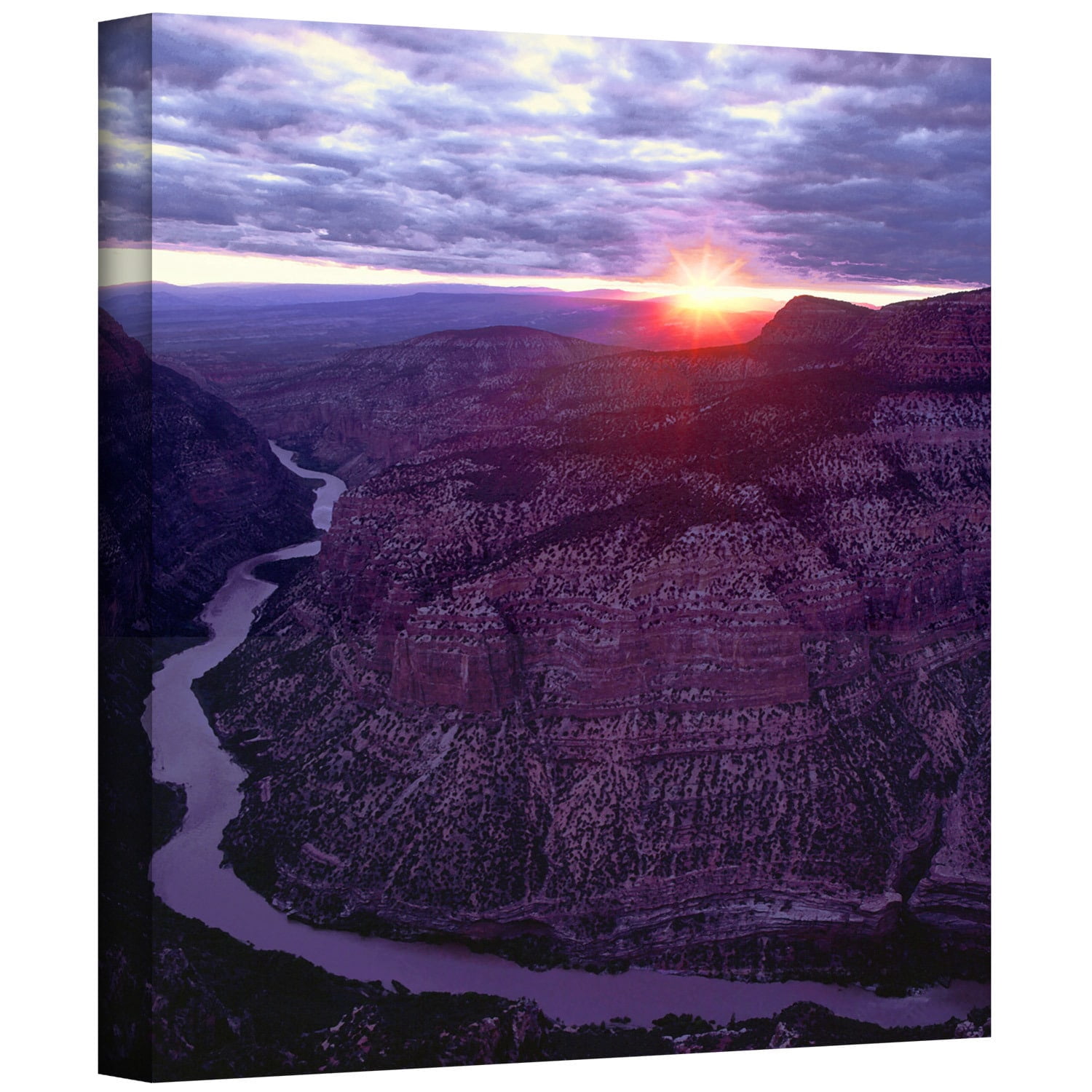 Dean Uhlinger "Green River Dinosaur" Gallery-Wrapped Canvas