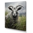 thumbnail image 2 of Designart "Meadow Buck in Grey Peaks" Animals Canvas Wall Art - Traditional Grey Goat Living Room Canvas Art, 2 of 6