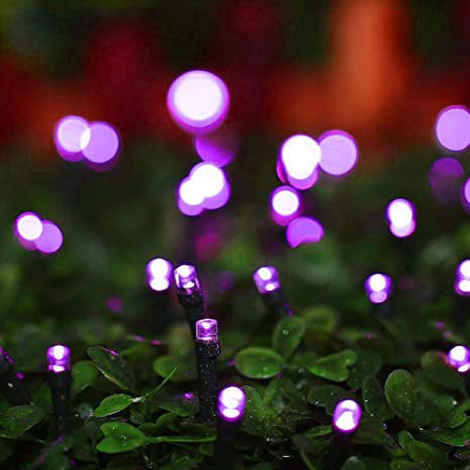 Twinkle Star 200 LED 66FT Fairy String Lights,Christmas Lights with 8 Lighting Modes,Mini String Lights Plug in for Indoor Outdoor Christmas Tree Garden Wedding Party Decoration, Purple - image 4 of 6