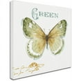 thumbnail image 2 of Trademark Fine Art "My Greenhouse Butterflies IV" Canvas Art by Lisa Audit, 2 of 3