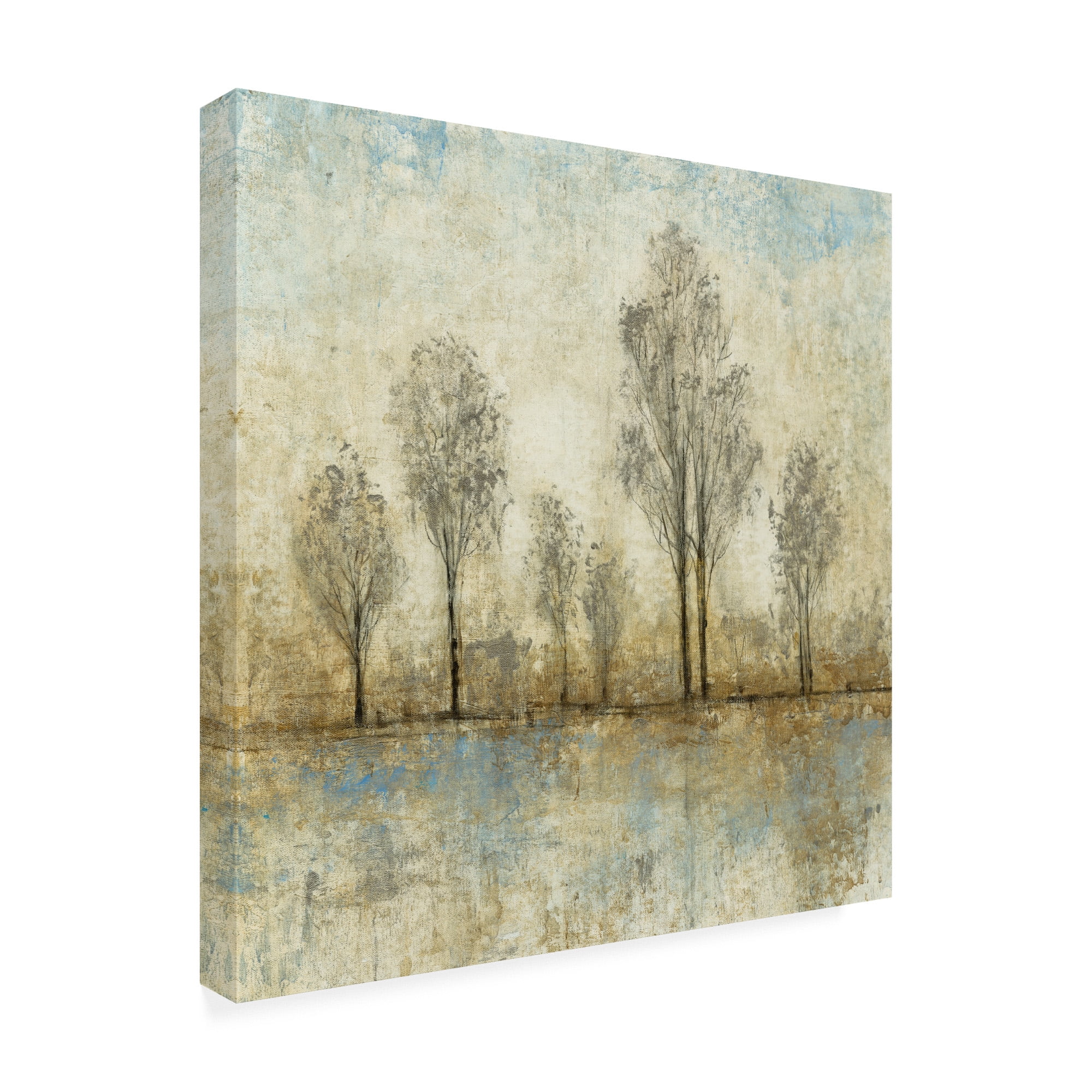 Trademark Fine Art 'Quiet Nature III' Canvas Art by Tim OToole