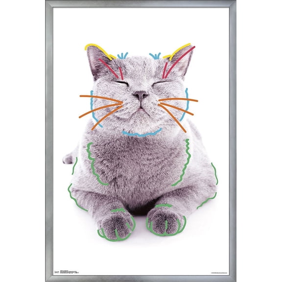 Cat - Funny Face Wall Poster, 22.375" x 34", Framed
