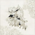 thumbnail image 4 of Wilson, Aimee 20x20 Black Modern Framed Museum Art Print Titled - Silver Shell II, 4 of 6
