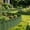 Green-GN, variant on MMJ Garden Fence 5 Pack Plastic Picket Edging for Lawn Flower Bed Border Decorative Yard 8x5.9in