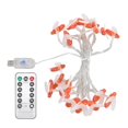 thumbnail image 2 of String Lights, Warm White 3 Meter 20 LEDs Waterproof Fairy String Lights  For Garden, 2 of 8