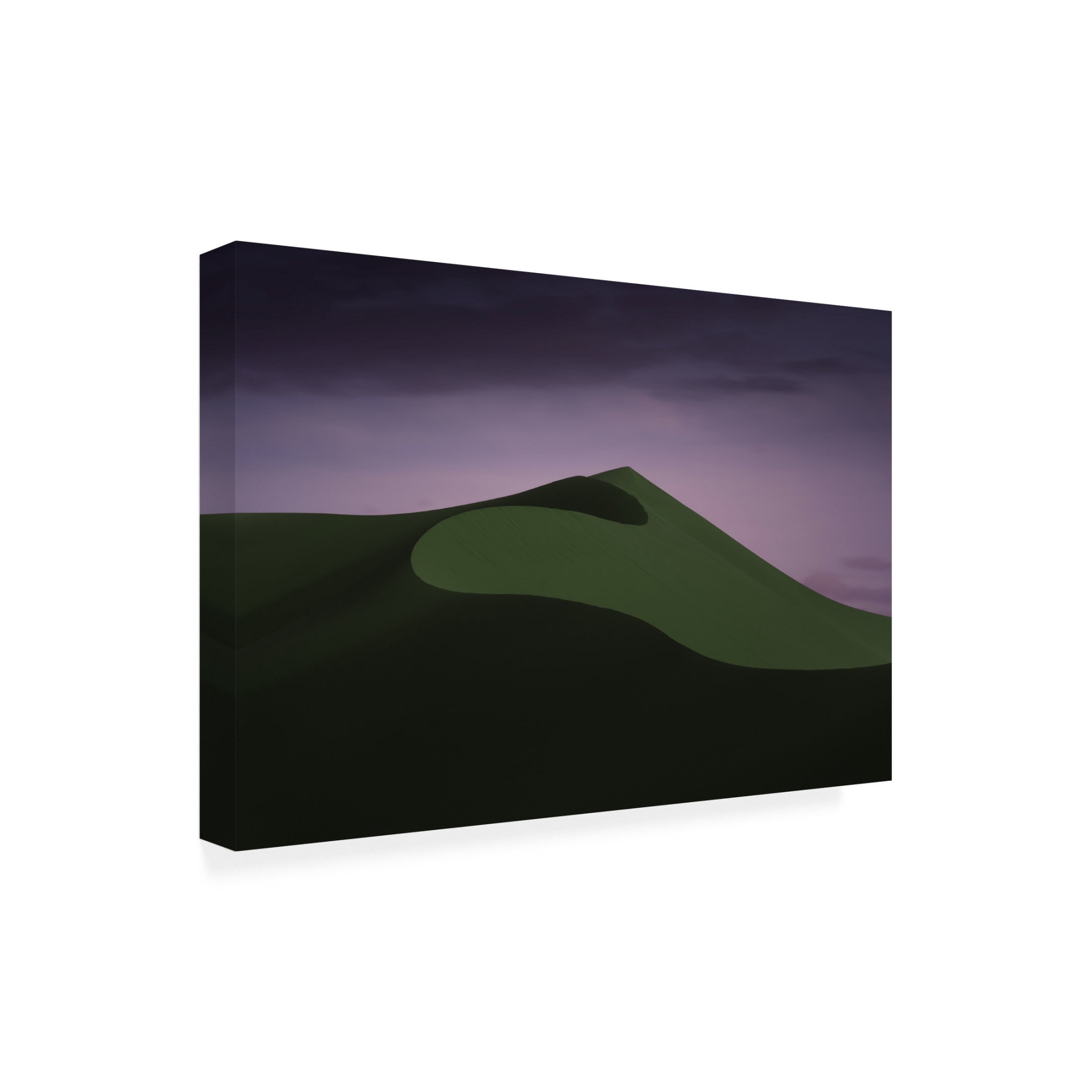 Trademark Fine Art Xiaopeng Guan Criaea Sup Canvas Wall Art