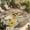Brown, variant on Daisy Floral Outdoor Rug for Patio/Deck/Porch, Non-Slip Large Area Rug 5 x 7 Ft, Farmhouse Wood Grain Bee Gnomes Flowers Indoor Outdoor Rugs Washable Area Rugs, Reversible Camping Rug Carpet Runner