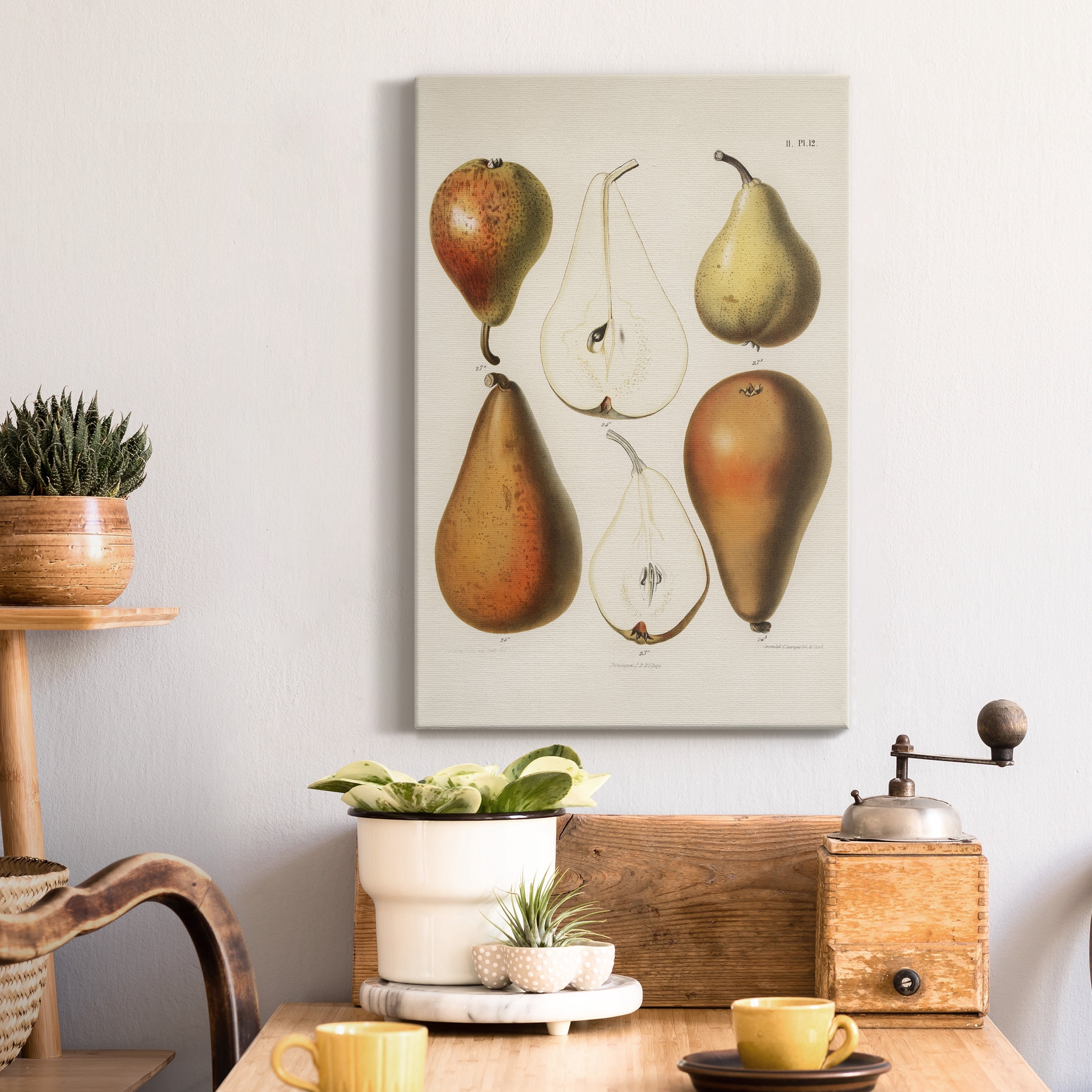 A vintage chromolithograph of fresh pears Premium Gallery Wrapped Canvas - Ready to Hang - 12 x 18