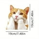 thumbnail image 3 of Cute Orange Stickers Car Stickers Window Stickers, 3 of 6