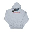 thumbnail image 1 of Harry Potter Mens Gryffindor Text Hoodie, 1 of 5