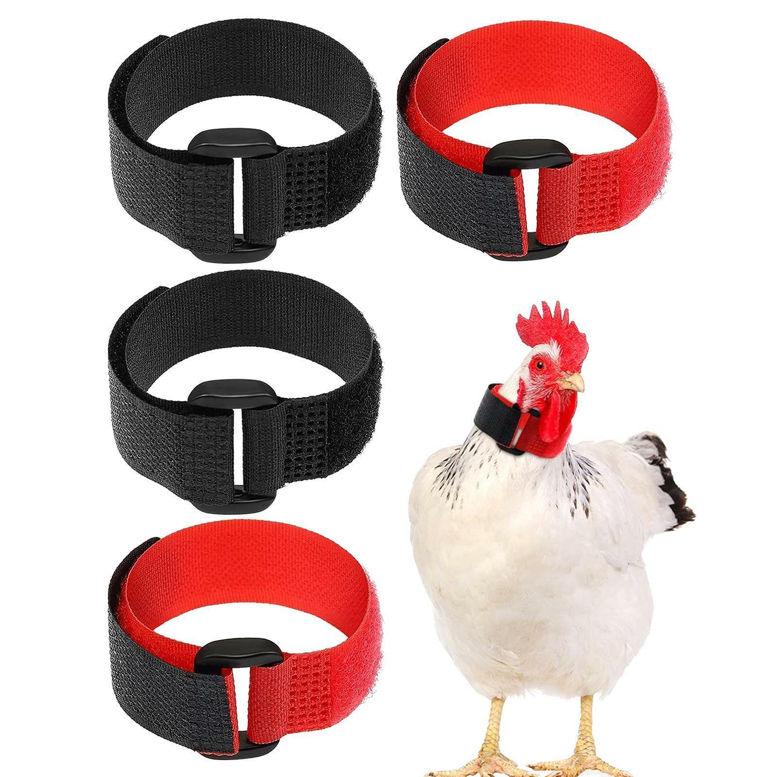 4X Anti Crow Collar For Roosters Cockerel No Crow Noise Neck Belt Black