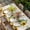 Beige, variant on Spring Gnomes Table Cloths for 4 Foot Rectangle Tables, Retro Botanical Flowers Leaves Butterfly Patio Waterproof Elastic Fitted Tablecloths, Washable Rectangular Table Cover for Camping