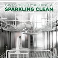 thumbnail image 5 of Cascade Platinum Dishwasher Cleaner, 1 Count, 5 of 9
