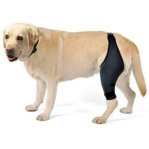 Dog Knee Brace,Dog Brace for ACL, Cap Dislocation, Arthritis - Keeps The Joint Warm,Reduces Pain,Prevent Licking Left - Walmart.com