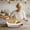 Light Gray, variant on Cotton Rope Bread Basket with Liner & Leather Handles, Oval Bread Storage Basket for Kitchen, Serving Basket for Homemade Bread, Rolls and Pastries