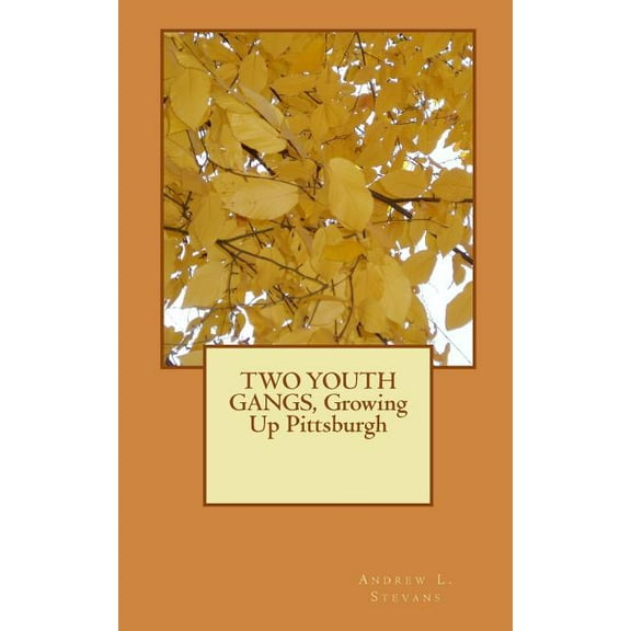 TWO YOUTH GANGS, Growing Up Pittsburgh, (Paperback)