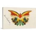 thumbnail image 1 of ARTCANVAS Yellow Butterfly 1890 Canvas Art Print by Albert Bierstadt - Size: 40" x 26" (0.75" Deep), 1 of 9