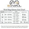 thumbnail image 2 of RIVAL Boxing RFX-Guerrero-V SF-F Soft Bag Gloves - 10 oz. - White/Gold, 2 of 2