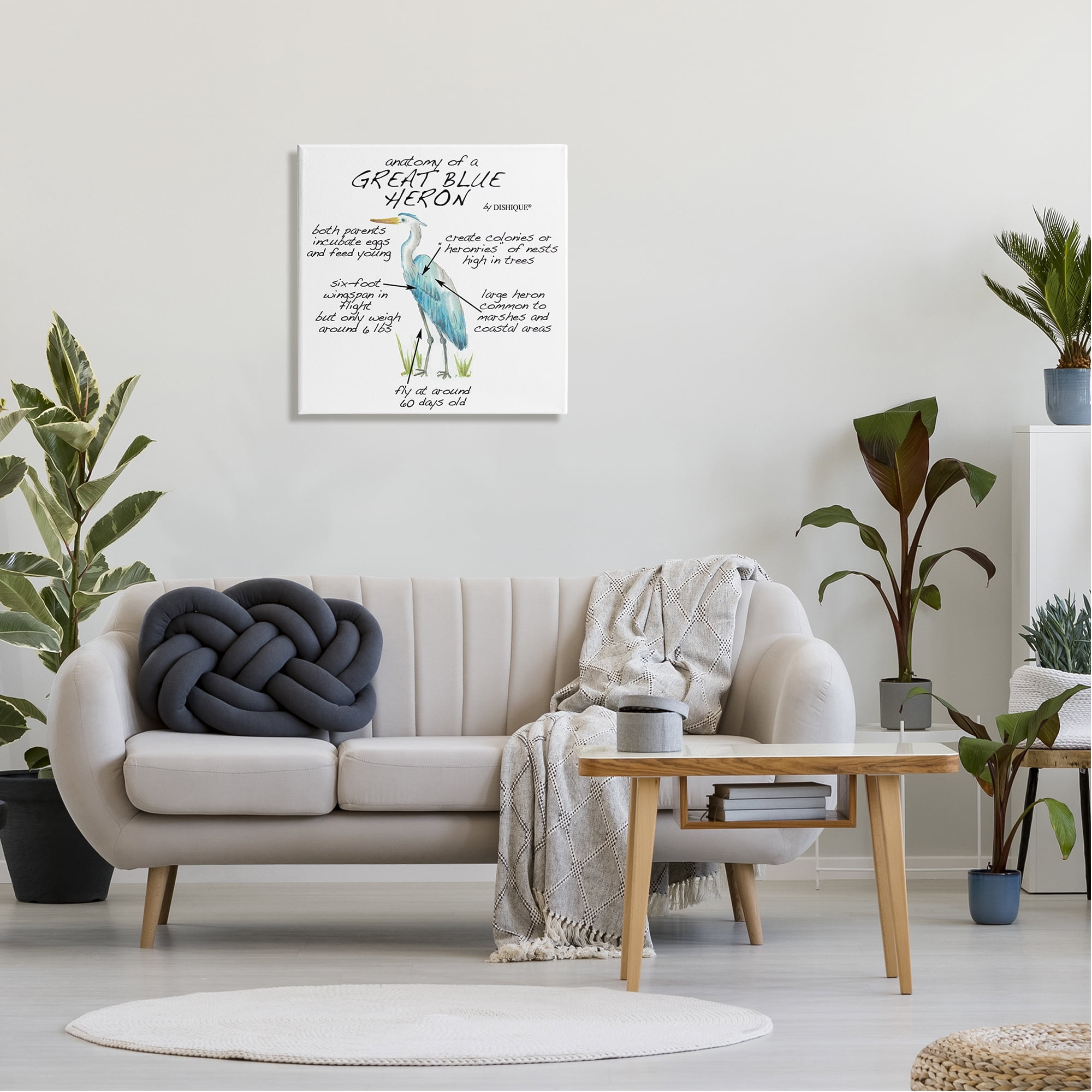 Stupell Industries Great Blue Heron Bird Learning Diagram Wildlife Facts Graphic Art Gallery Wrapped Canvas Print Wall Art, Design by Dishique