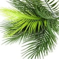 thumbnail image 3 of 2 Pcs Artificial Palm Leaves Fake Palm Plants Faux Palm Leaf Jungle Tropical Party Leaves Decor, 3 of 5
