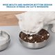 thumbnail image 3 of Cuenco Para Mascotas De Acero Inoxidable, 2 Uds., Alimentador Portátil Para Mascotas Y Cuenco De Agua, Cuenco Alimentador De Agua Y Comida Para Mascotas De Boca Ancha Para Viajes En Casa De Mascotas Eigraketly PT001027-00, 3 of 7