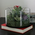 thumbnail image 5 of 8" Artificial Mixed Succulent Arrangement in Round Glass Jar, 5 of 5