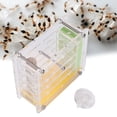 thumbnail image 5 of Durable Acrylic Ant Nest Villa Farm House Formicarium for Ant Feeding Accessory, 5 of 8