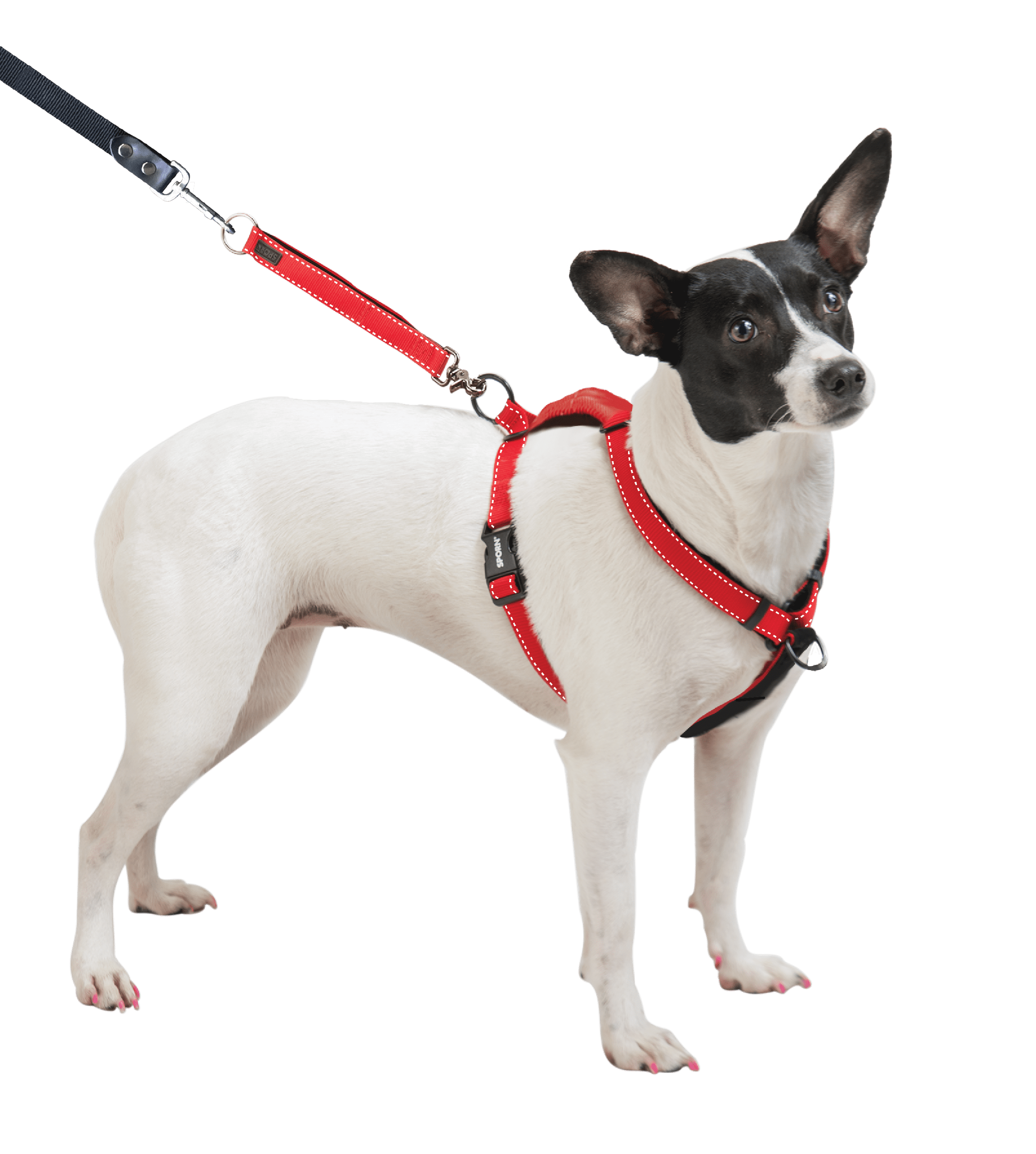 Ultimate top control harness