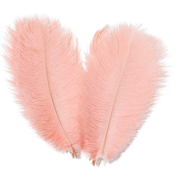AWAYTR Plumas de avestruz naturales de 18 a 20 pulgadas (45 a 50 cm) para centros de mesa de boda, decoración del hogar, arreglos florales, decoraciones navideñas de bricolaje (10 unidades, blanco-1)