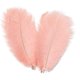 thumbnail image 1 of AWAYTR Plumas de avestruz naturales de 18 a 20 pulgadas (45 a 50 cm) para centros de mesa de boda, decoración del hogar, arreglos florales, decoraciones navideñas de bricolaje (10 unidades, blanco-1), 1 of 4