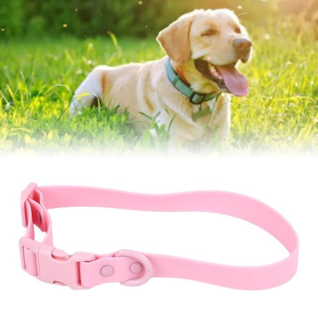 Collier pour Animaux de Compagnie, Collier de Chien Imperméable Collier de Décoration Confortable à Porter pour Animaux de Compagnie avec Boucle Réglable Collier de Chien Doux pour Animaux de Compagnie en Plein Air