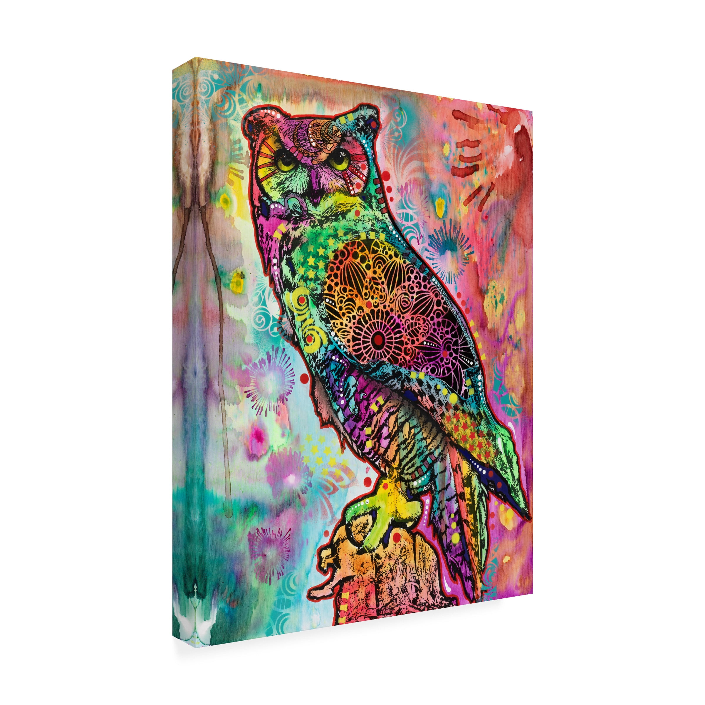 Trademark Fine Art 'Wise Owl' Canvas Art by Dean Russo