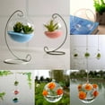 thumbnail image 3 of Contenedor de terrario, maceta de flores, cristal colgante para plantas hidropónicas, decoración del jardín del hogar XBTCLXEBCO terrario colgante, bola de bruja, mini linterna, 3 of 5