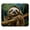 Multicolor 3, variant on PhooArto Comfortable Mouse Pad Animal Sloth Rainforest Desktop Mousepad , 21 x 25 cm Mouse Mat, Non-Slip Rubber Base, Improves Speed and Precision