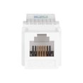 thumbnail image 2 of MP RJ11 Toolless Keystone Jack_ White, 2 of 4