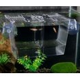 thumbnail image 3 of Tanque de cría de peces de acuario 3 en 1 CHAO con tapa flotante transparente 12,5x7x7 cm, 3 of 5