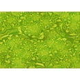 thumbnail image 1 of Ahgly Company Machine Washable Indoor Rectangle Transitional Green Apple Green Area Rugs, 2' x 3', 1 of 7