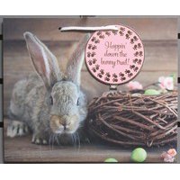 Easter -wal-mart Vogue Easter Gift Bag Nest