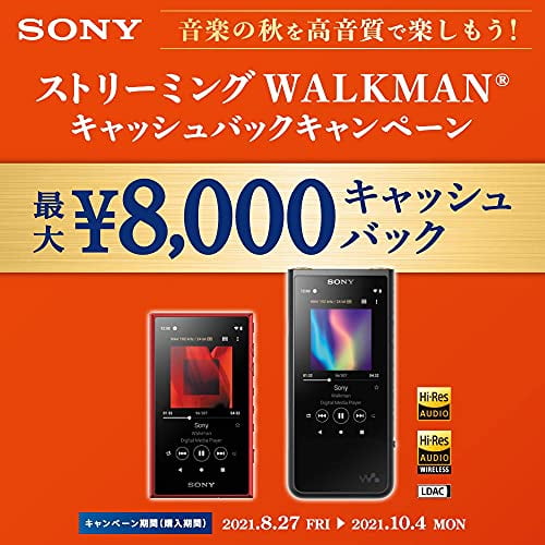 【ほぼ新品】Sony Walkman NW-A107 64GB RED Amazon.co.jp: ソニー ウォークマン 64GB Aシリーズ NW-A107