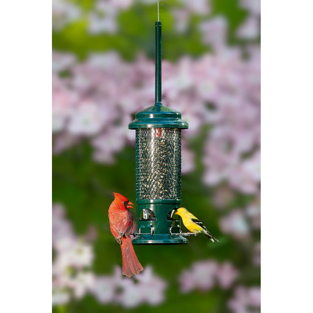 Brome Squirrel Buster Standard Squirrelproof Bird Feeder w/4 Metal