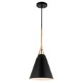 thumbnail image 1 of Light Society LS-C400-BK Kalix Pendentif 10", Standard, Noir, 1 of 1