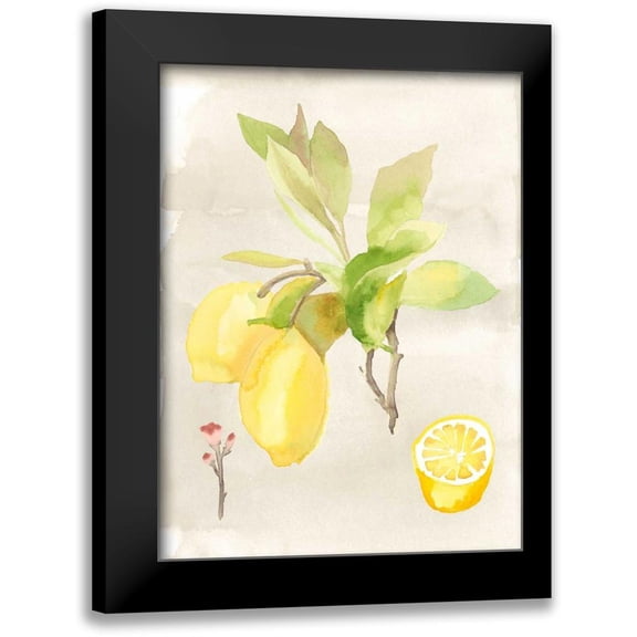 McCavitt, Naomi 11x14 Black Modern Framed Museum Art Print Titled - Watercolor Fruit II