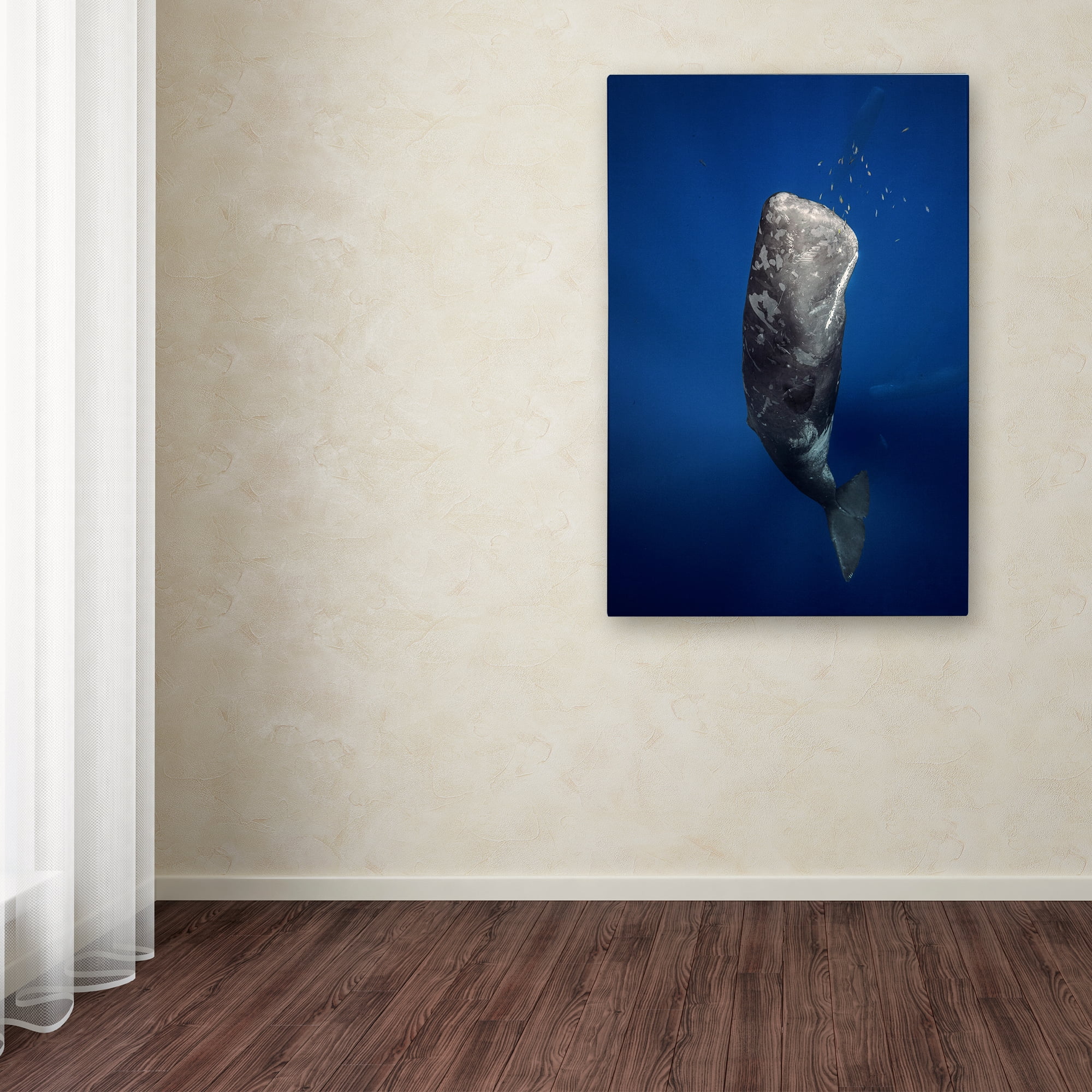 Trademark Fine Art 'Candle Sperm Whale' Canvas Art by Barathieu Gabriel