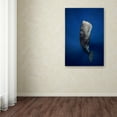thumbnail image 3 of Trademark Fine Art 'Candle Sperm Whale' Canvas Art by Barathieu Gabriel, 3 of 3