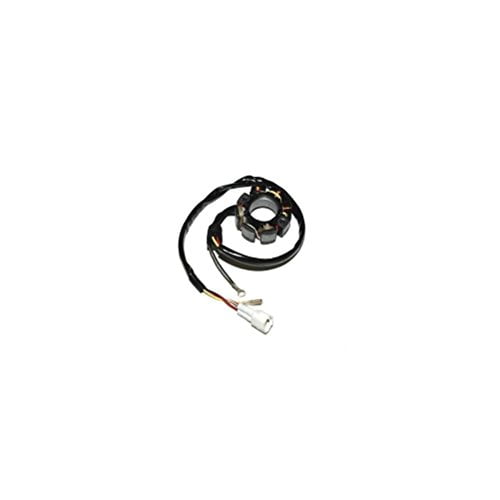 ElectroSport ESL237 Stator d'Éclairage KTM 4 Temps