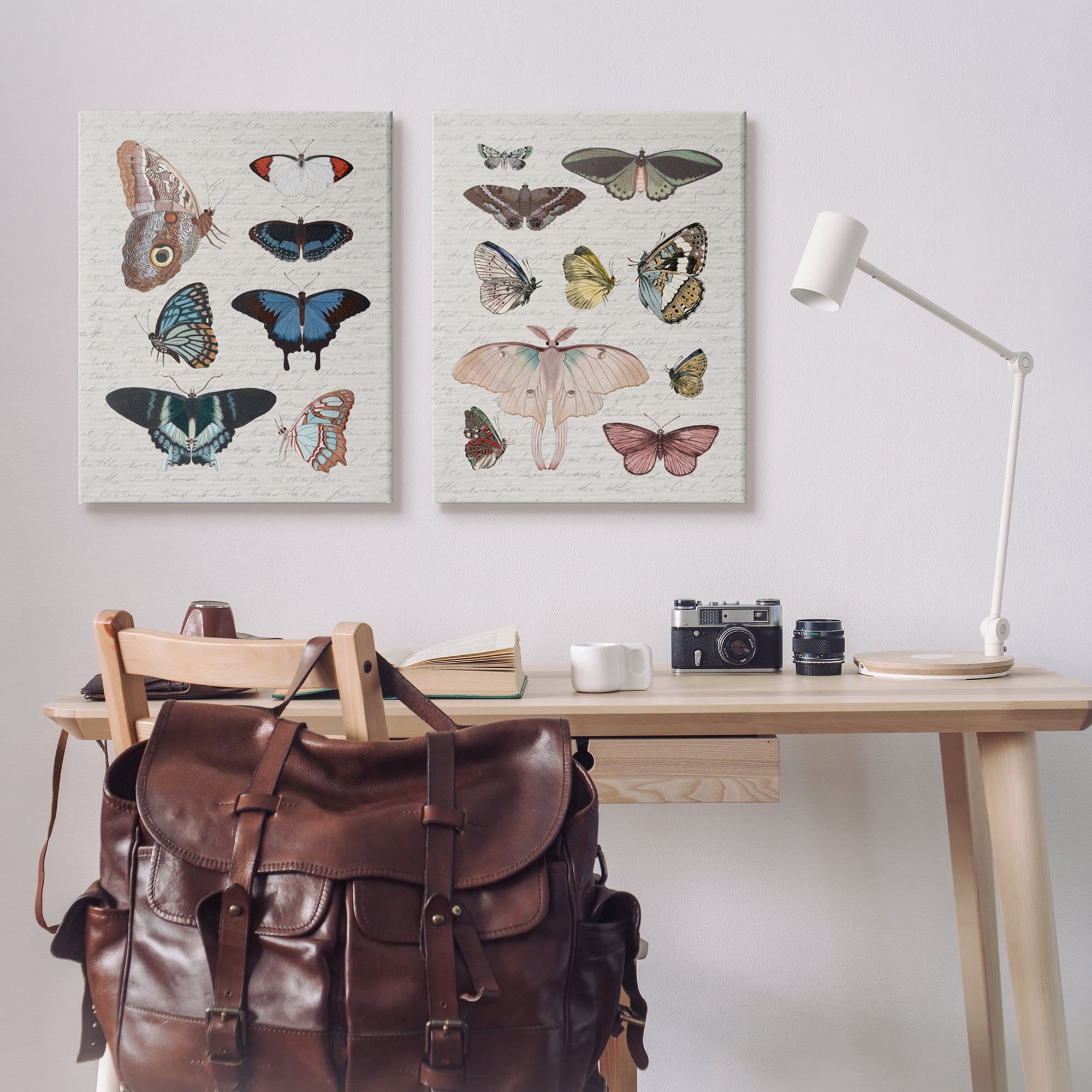 Stupell Industries Vintage Butterflies & Moths Animals & Insects Painting Gallery Wrapped Canvas Art Print Wall Art, 24 x 30, Set of 2